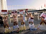 Проститутки Польши протестуют против Femen