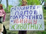 Посадили убийцу Киевских собак на 4 года