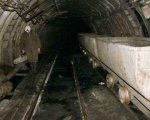 Незаконно срезанные деревья обесточили сразу пять шахт
