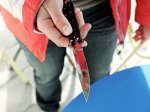 17-летний парень в Ровно порезал своего соседа