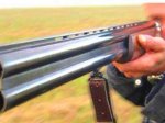 На Оболони в Киеве неизвестный убил из ружья собаку