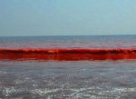 В Бердянске море стало красным