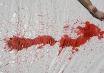 В Донецкой области сын забил до смерти свою мать