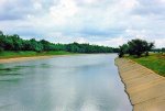  В Крыму погиб весь посев риса 
