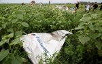Наблюдателям ОБСЕ дали доступ к месту крушения Боинга 777